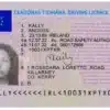 Get full Irish driving licence produced with original quality